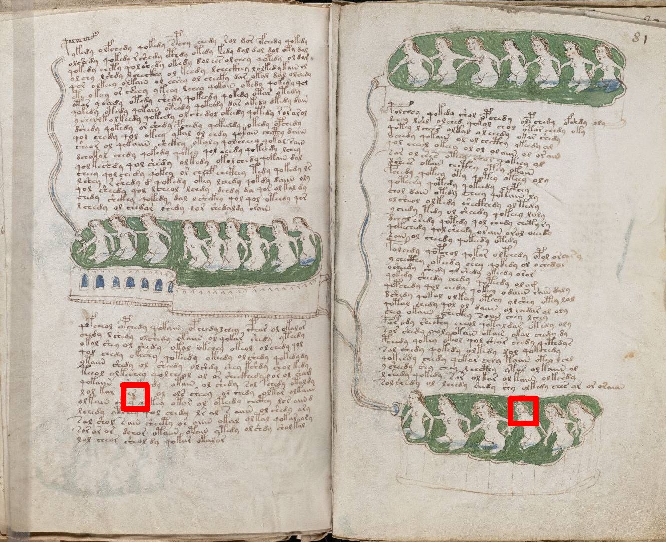 manuscrito voynich.jpg